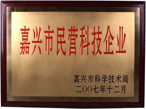 Was assessed as jiaxing Private High Tech Company