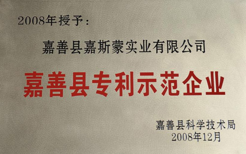 嘉善县专利示范企业